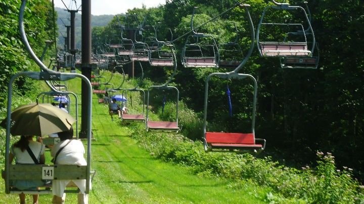 🌸 탄바라 라벤더 파크 이미지 4